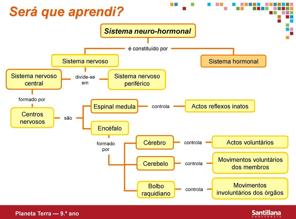 divide-se em Sistema nervoso periférico formado por Centros nervosos são Espinal medula Encéfalo