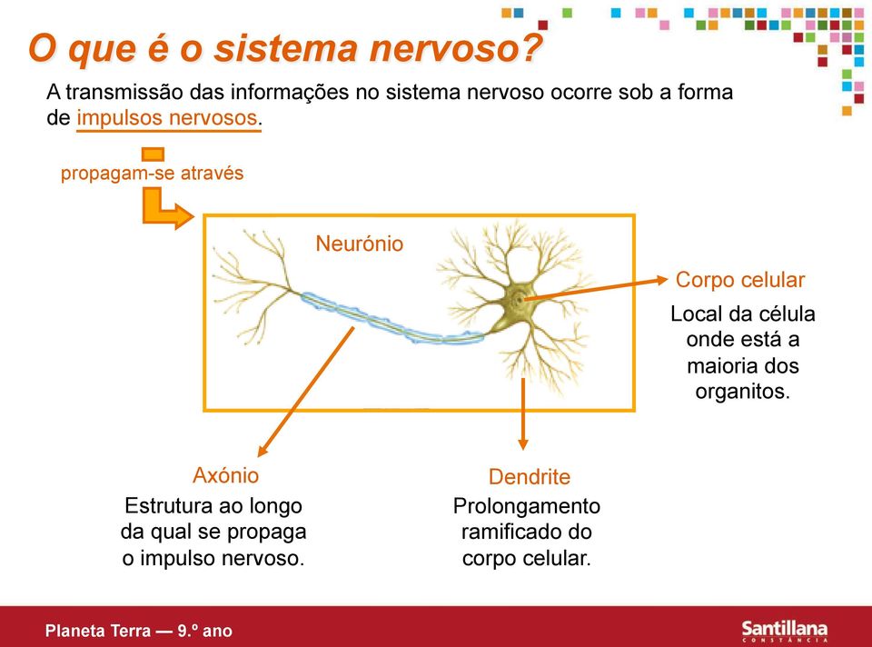 nervosos.