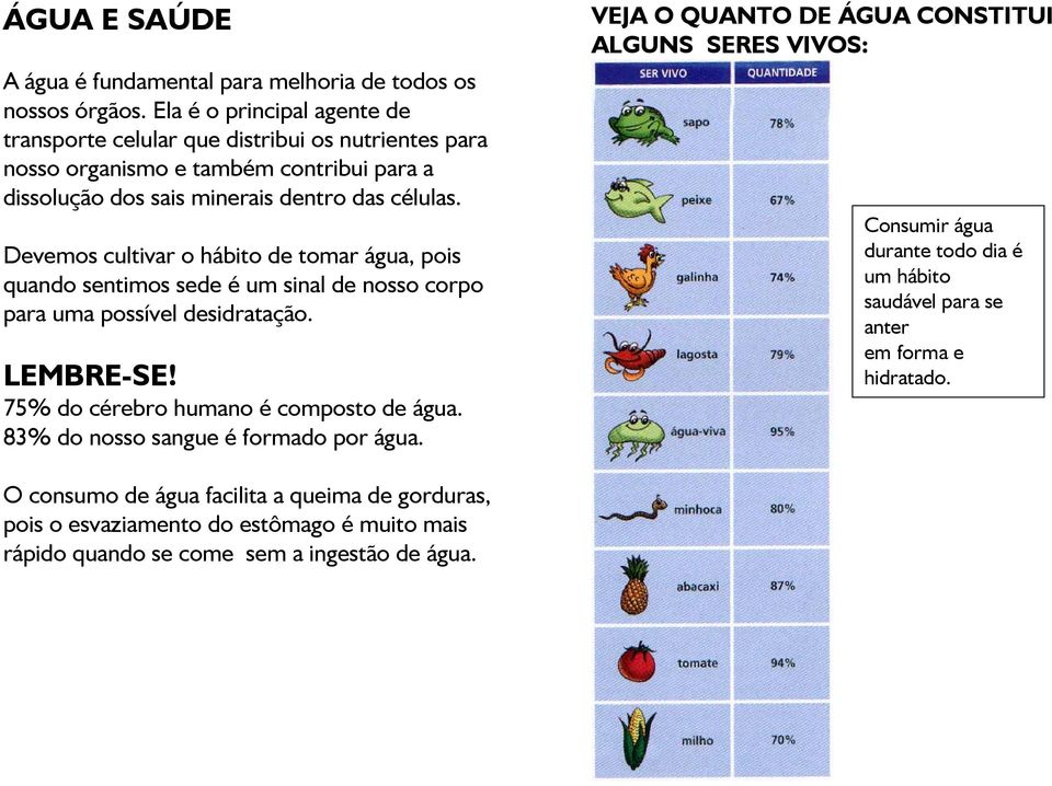 Devemos cultivar o hábito de tomar água, pois quando sentimos sede é um sinal de nosso corpo para uma possível desidratação. LEMBRE-SE! 75% do cérebro humano é composto de água.