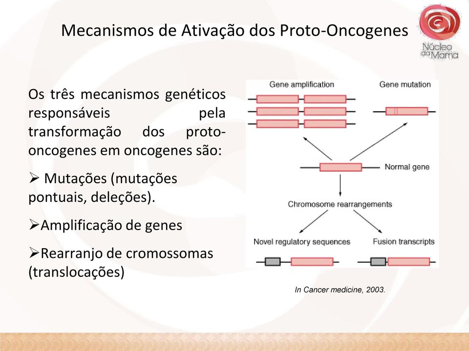 oncogenes são: Mutações (mutações pontuais, deleções).