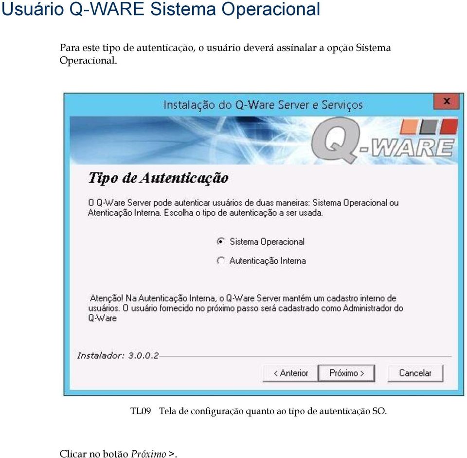 assinalar a opção Sistema Operacional.