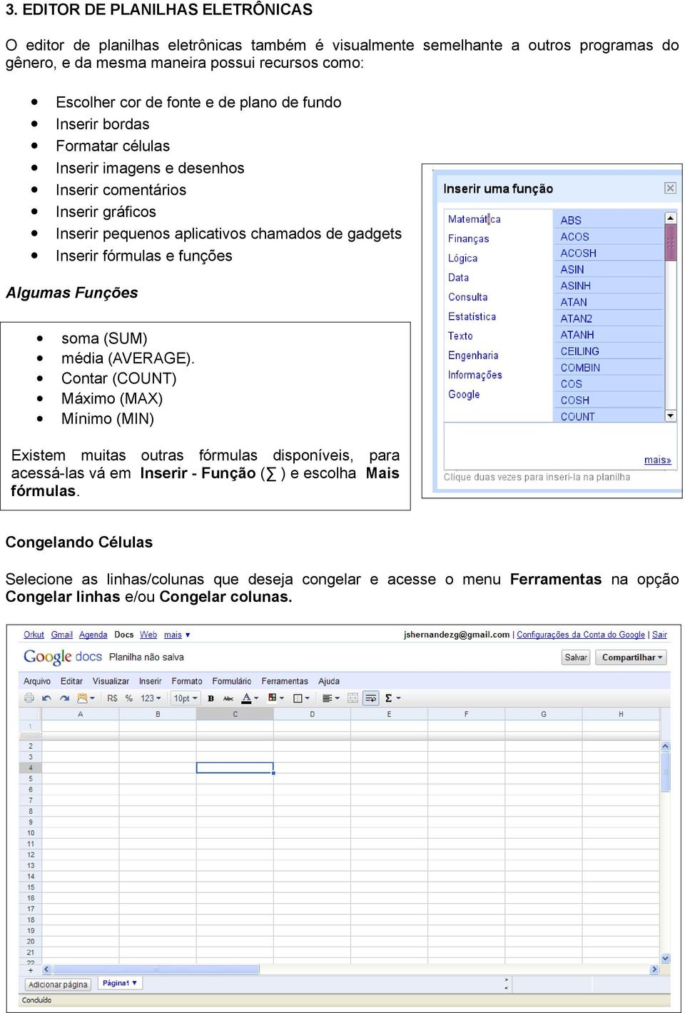 Inserir fórmulas e funções Algumas Funções soma (SUM) média (AVERAGE).