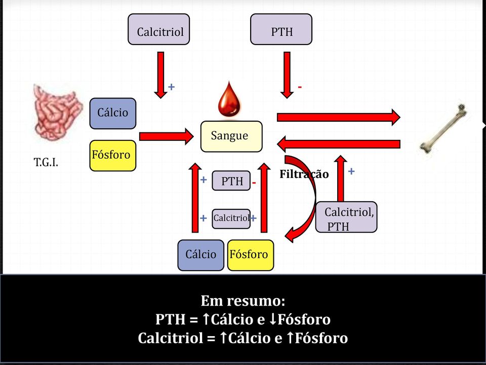 Calcitriol, PTH Cálcio Fósforo Em resumo: