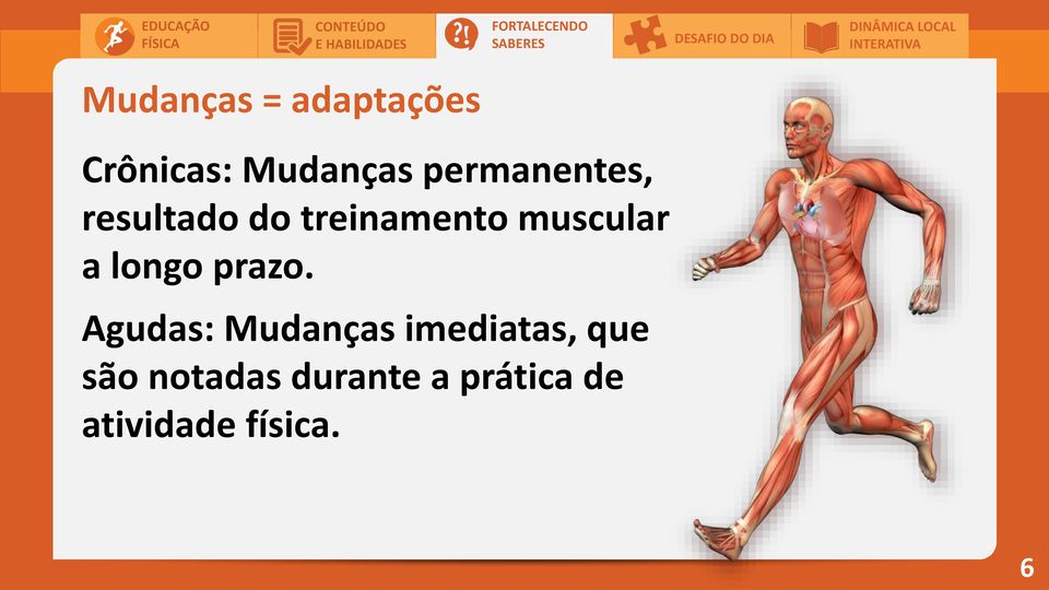 resultado do treinamento muscular a longo prazo.