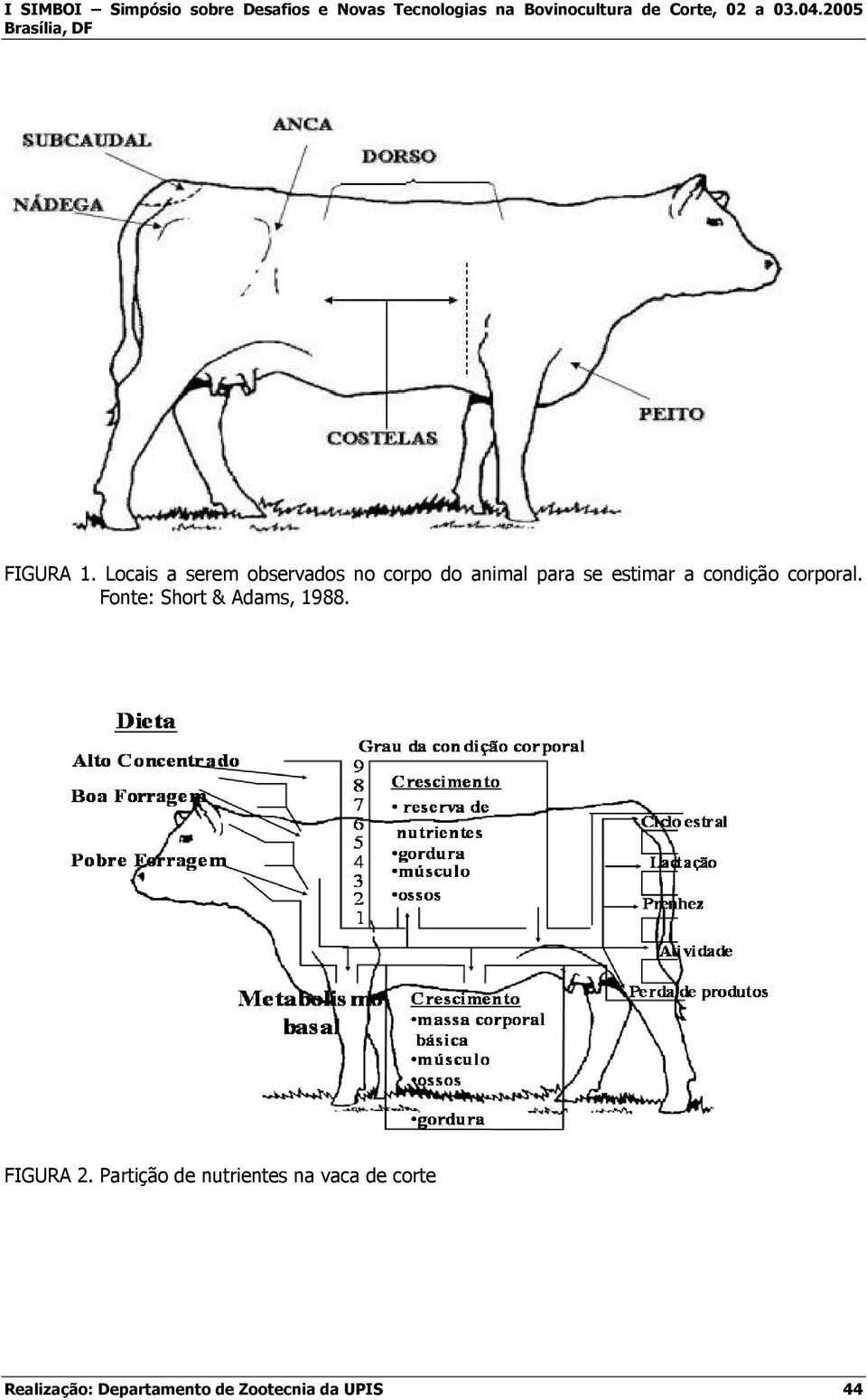 estimar a condição corporal.