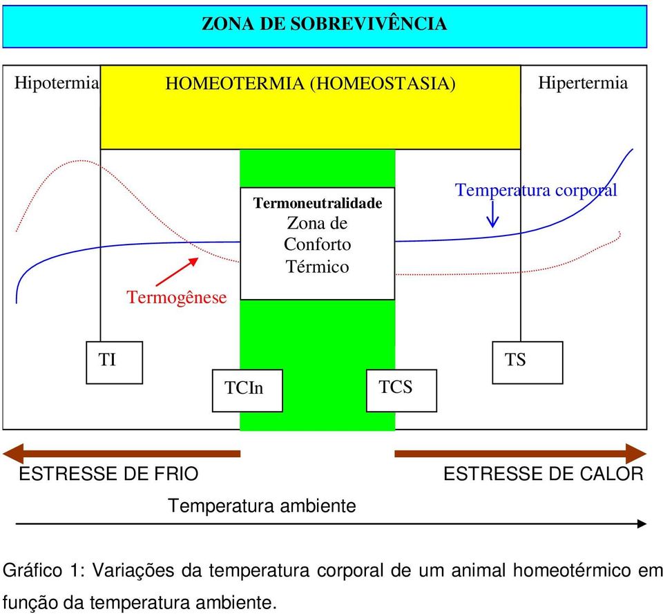 TCIn Zona de TCS Termoneutralidade TS ESTRESSE DE FRIO Temperatura ambiente ESTRESSE DE CALOR