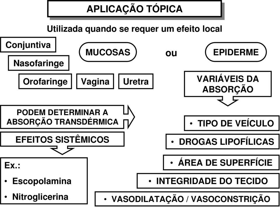 A ABSORÇÃO TRANSDÉRMICA TIPO DE VEÍCULO Ex.
