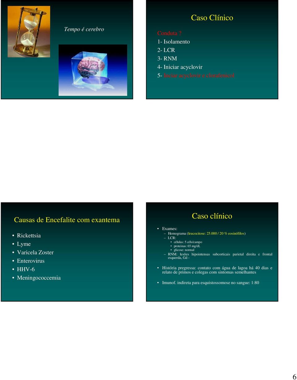 Enterovirus HHV-6 Meningococcemia Caso clínico Exames: Hemograma (leucocitose: 25.