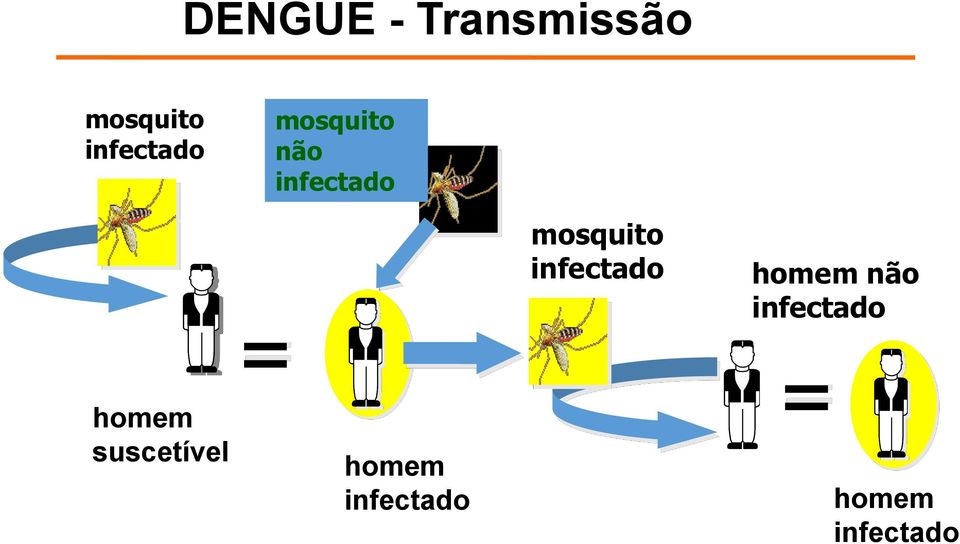 suscetível = homem infectado mosquito