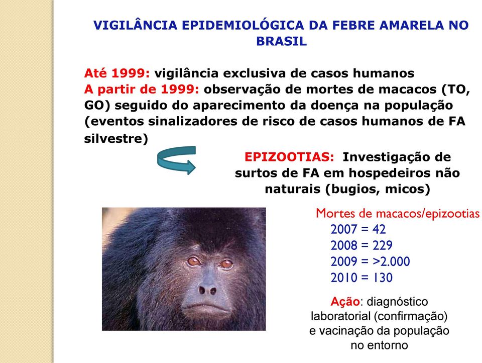 humanos de FA silvestre) EPIZOOTIAS: Investigação de surtos de FA em hospedeiros não naturais (bugios, micos) Mortes de