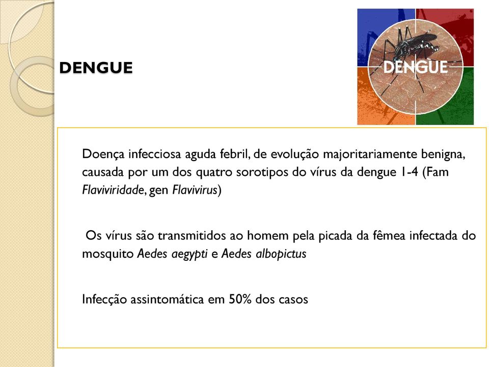 gen Flavivirus) Os vírus são transmitidos ao homem pela picada da fêmea