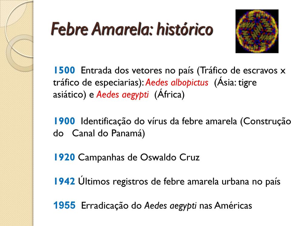 Identificação do vírus da febre amarela (Construção do Canal do Panamá) 1920 Campanhas de