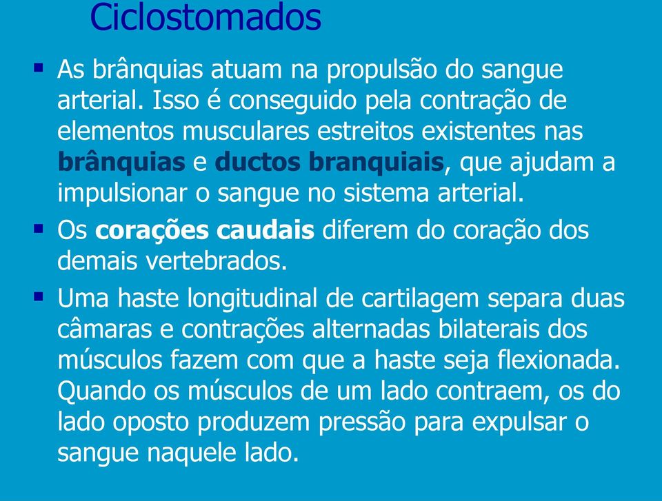 o sangue no sistema arterial. Os corações caudais diferem do coração dos demais vertebrados.