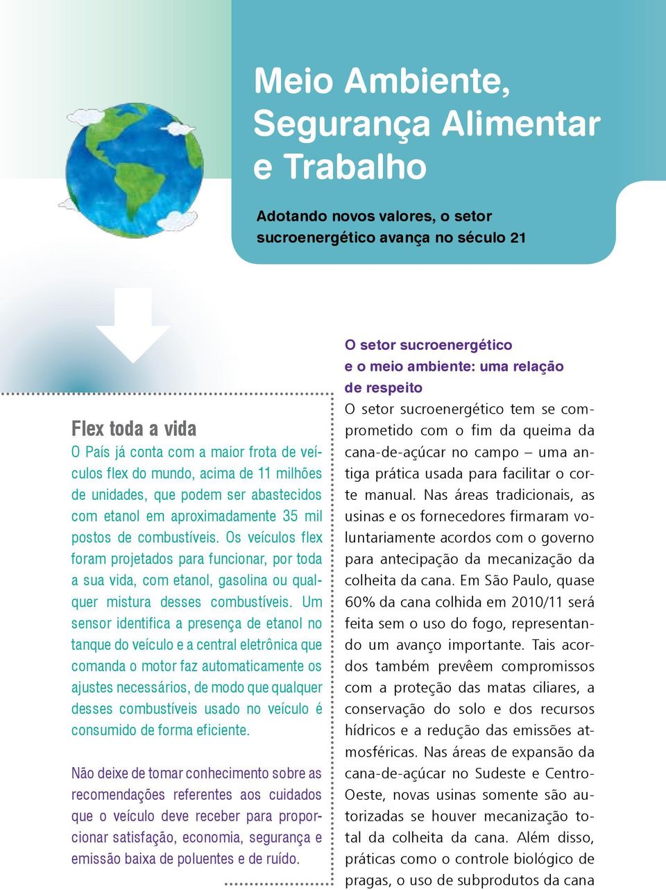 Os veículos flex foram projetados para funcionar, por toda a sua vida, com etanol, gasolina ou qualquer mistura desses combustíveis.