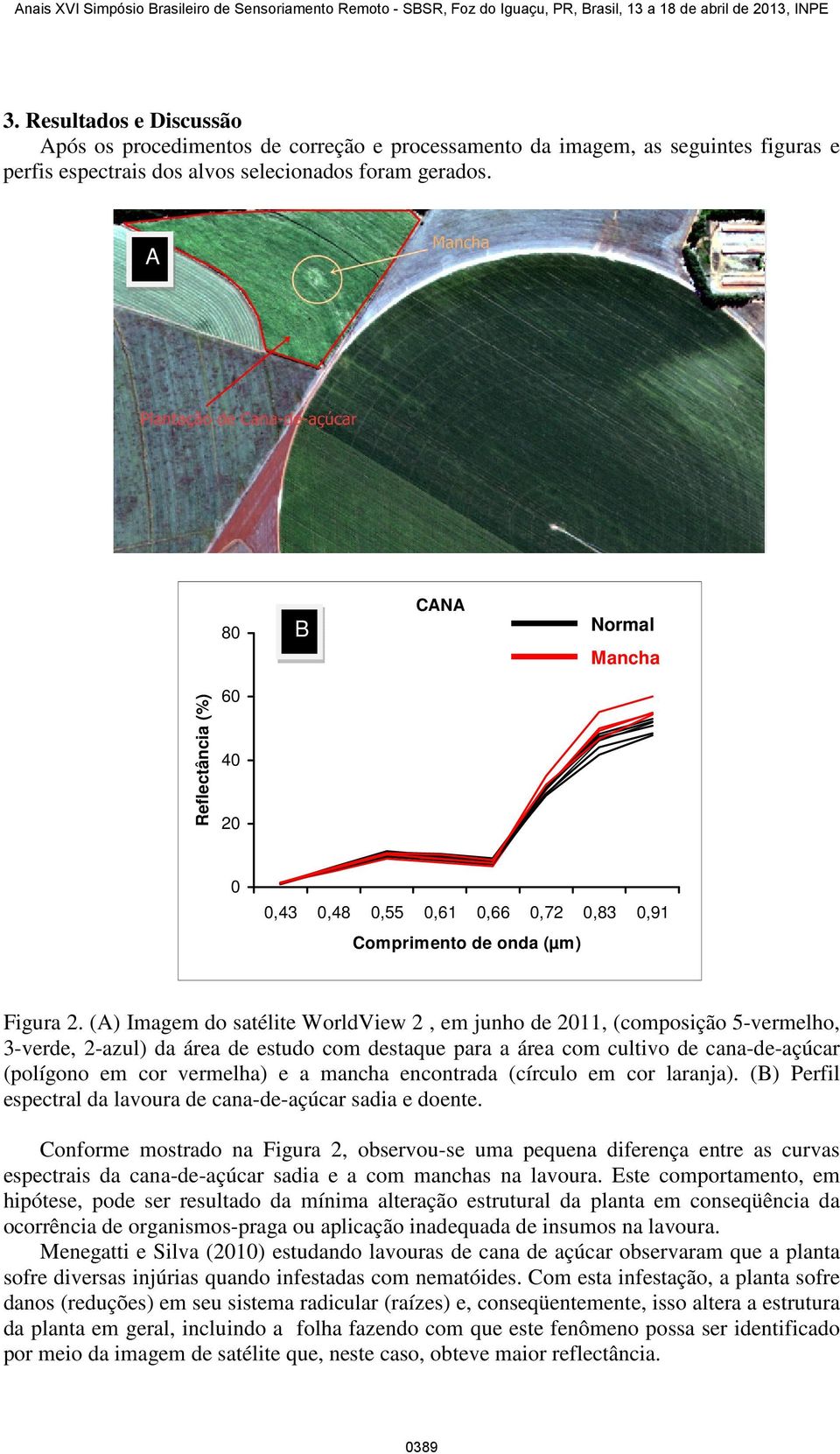 (A) Imagem do satélite WorldView 2, em junho de 211, (composição 5-vermelho, 3-verde, 2-azul) da área de estudo com destaque para a área com cultivo de cana-de-açúcar (polígono em cor vermelha) e a
