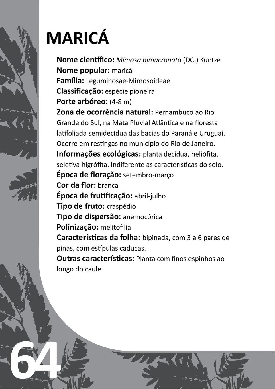 Atlântica e na floresta latifoliada semidecídua das bacias do Paraná e Uruguai. Ocorre em restingas no município do Rio de Janeiro.