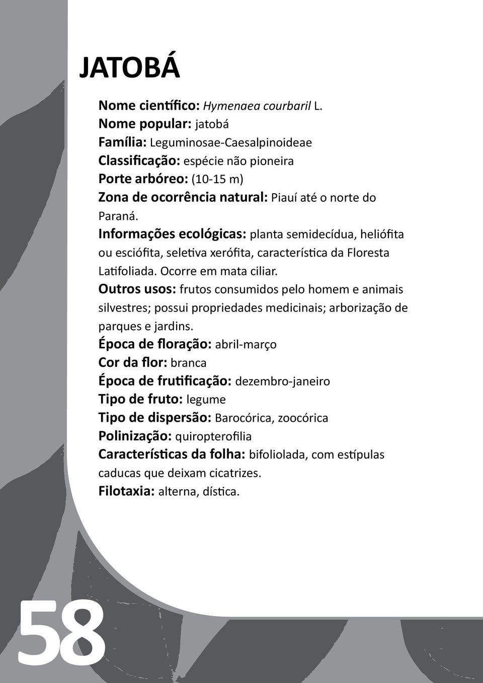 Informações ecológicas: planta semidecídua, heliófita ou esciófita, seletiva xerófita, característica da Floresta Latifoliada. Ocorre em mata ciliar.