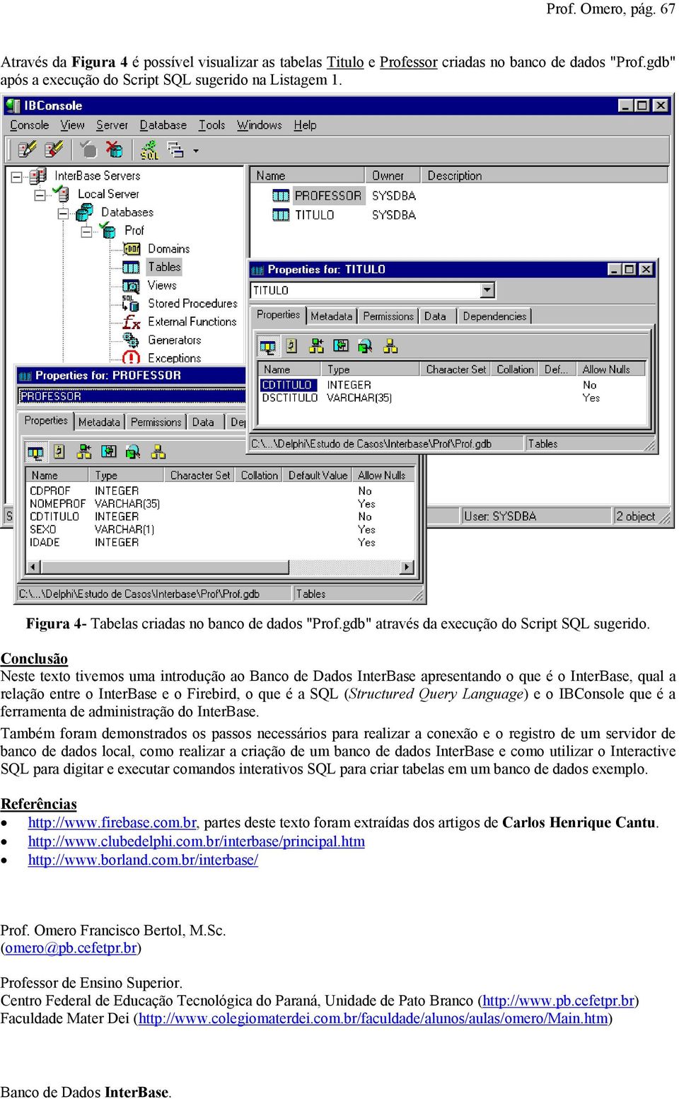 Conclusão Neste texto tivemos uma introdução ao Banco de Dados InterBase apresentando o que é o InterBase, qual a relação entre o InterBase e o Firebird, o que é a SQL (Structured Query Language) e o