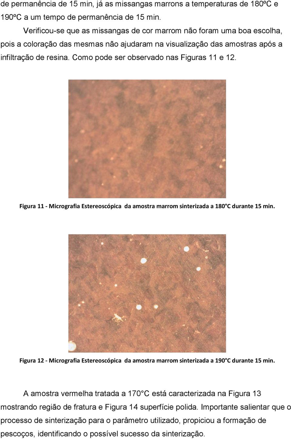 Como pode ser observado nas Figuras 11 e 12. Figura 11 - Micrografia Estereoscópica da amostra marrom sinterizada a 180 C durante 15 min.