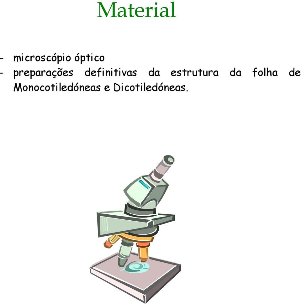 definitivas da estrutura da