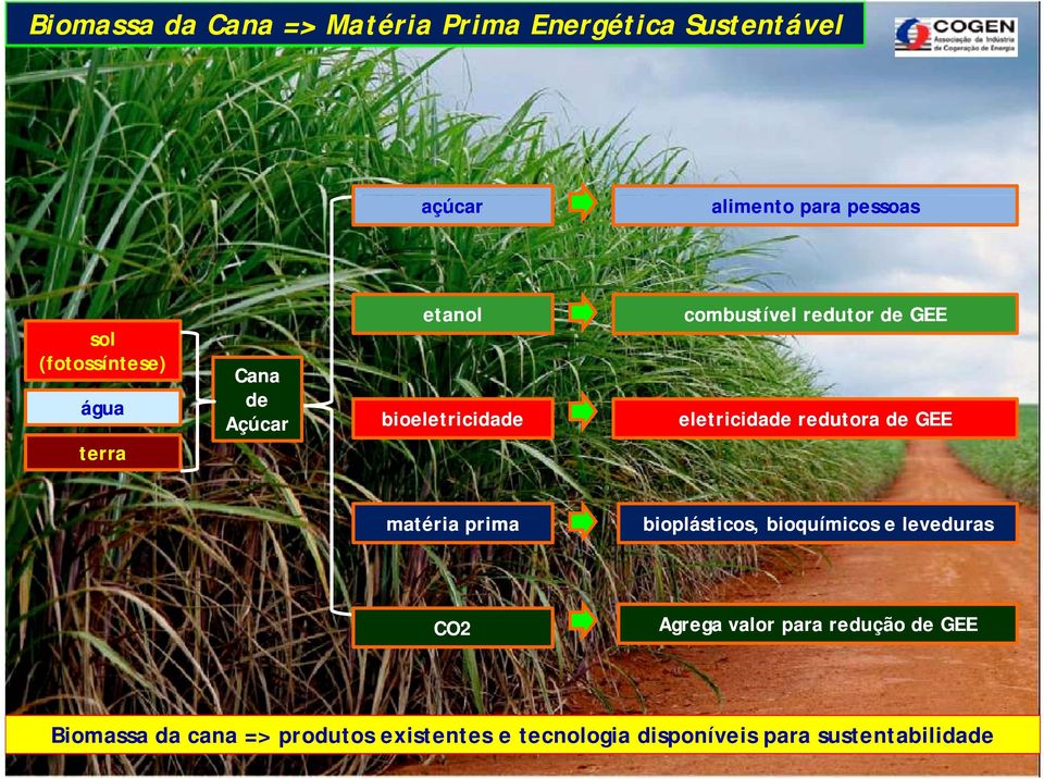 redutora de GEE matéria prima bioplásticos, bioquímicos e leveduras CO2 Agrega valor para