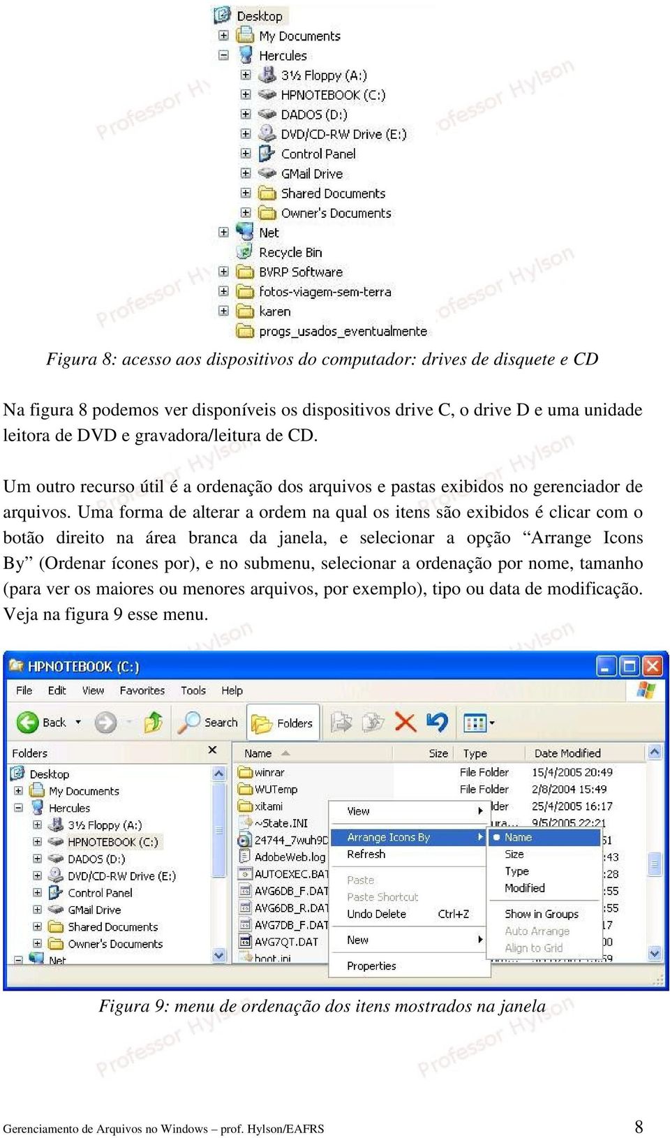 Uma forma de alterar a ordem na qual os itens são exibidos é clicar com o botão direito na área branca da janela, e selecionar a opção Arrange Icons By (Ordenar ícones por),