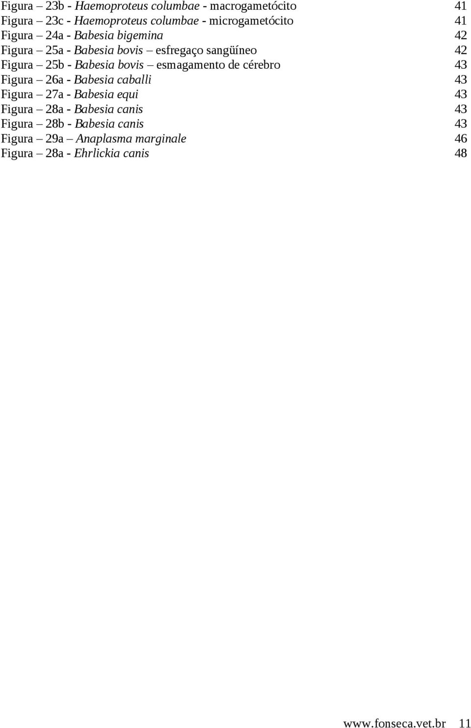 esmagamento de cérebro 43 Figura 26a - Babesia caballi 43 Figura 27a - Babesia equi 43 Figura 28a - Babesia canis