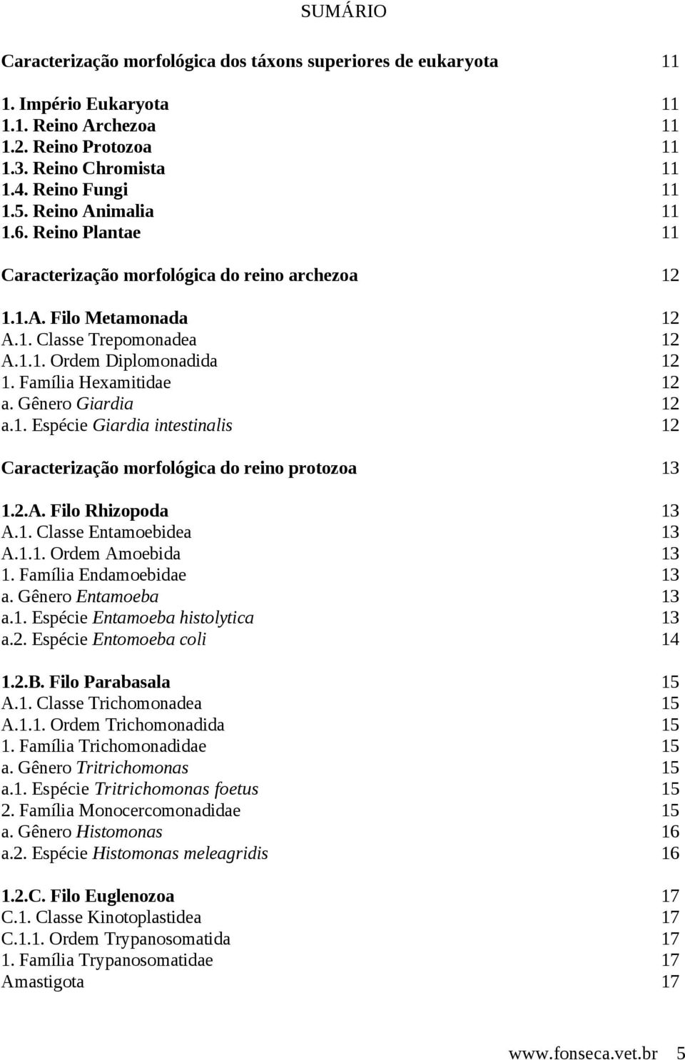 Gênero Giardia 12 a.1. Espécie Giardia intestinalis 12 Caracterização morfológica do reino protozoa 13 1.2.A. Filo Rhizopoda 13 A.1. Classe Entamoebidea 13 A.1.1. Ordem Amoebida 13 1.