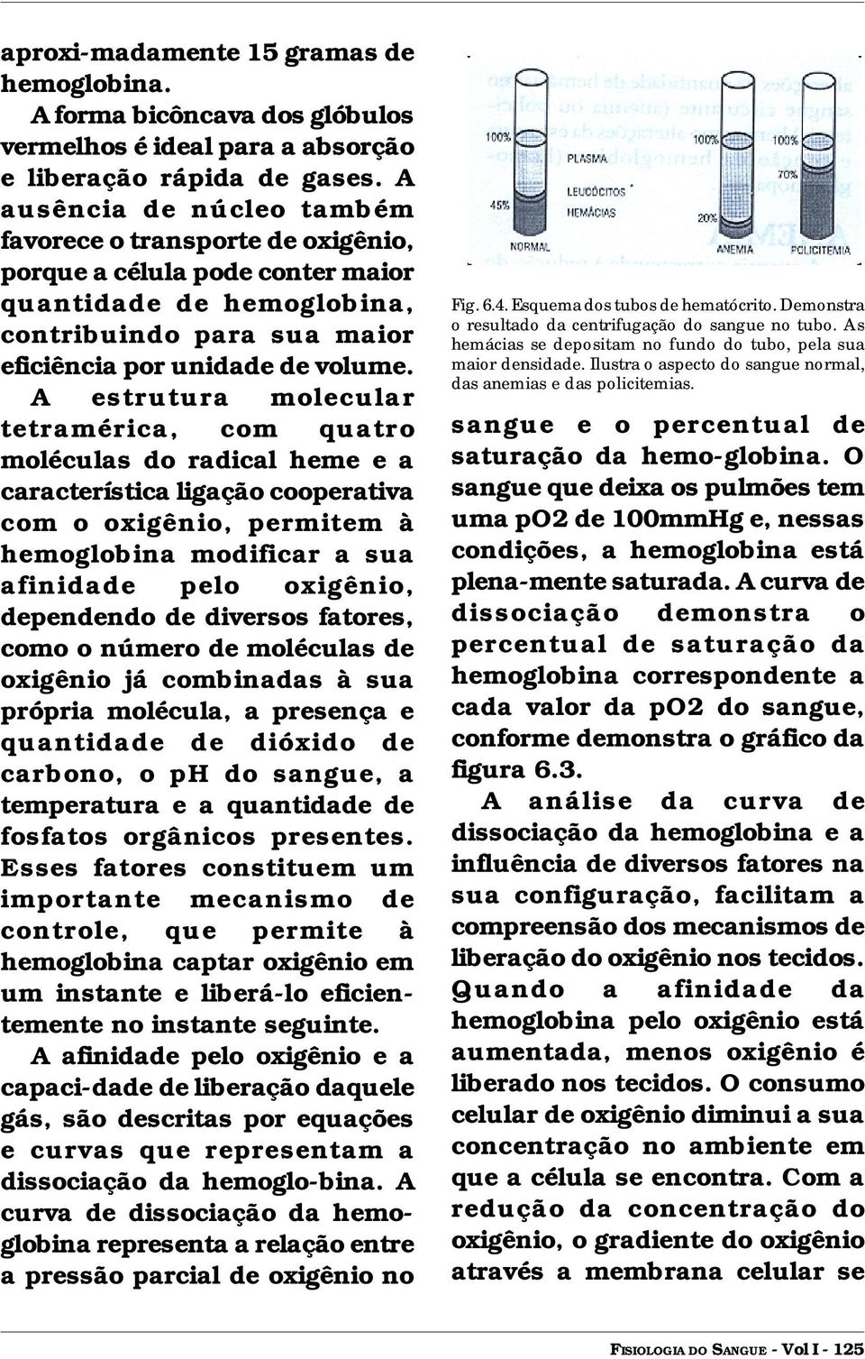 A estrutura molecular tetramérica, com quatro moléculas do radical heme e a característica ligação cooperativa com o oxigênio, permitem à hemoglobina modificar a sua afinidade pelo oxigênio,