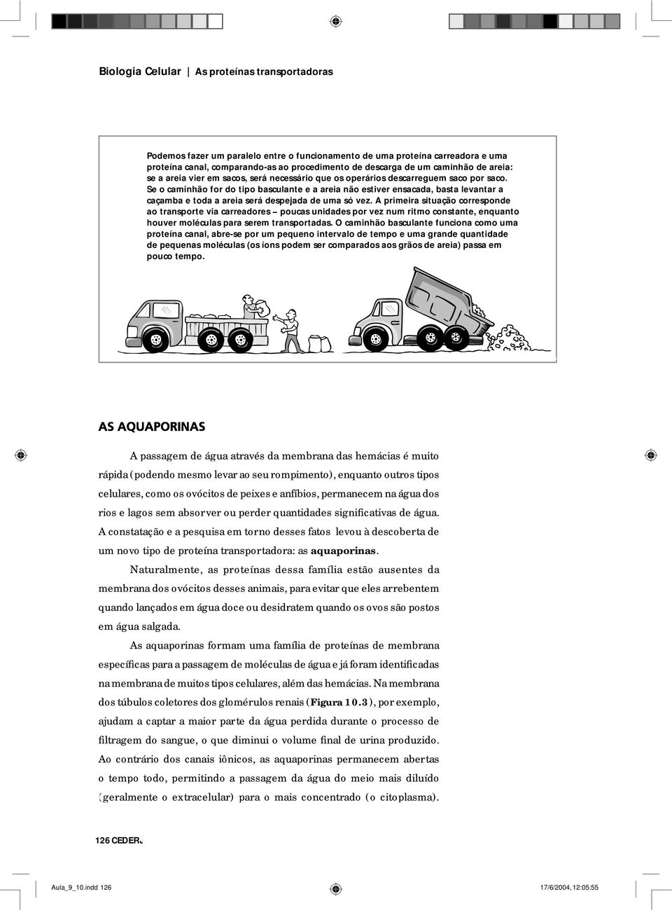 Se o caminhão for do tipo basculante e a areia não estiver ensacada, basta levantar a caçamba e toda a areia será despejada de uma só vez.