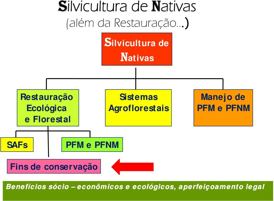 Sistemas Agroflorestais Manejo de PFM e PFNM SAFs PFM e PFNM