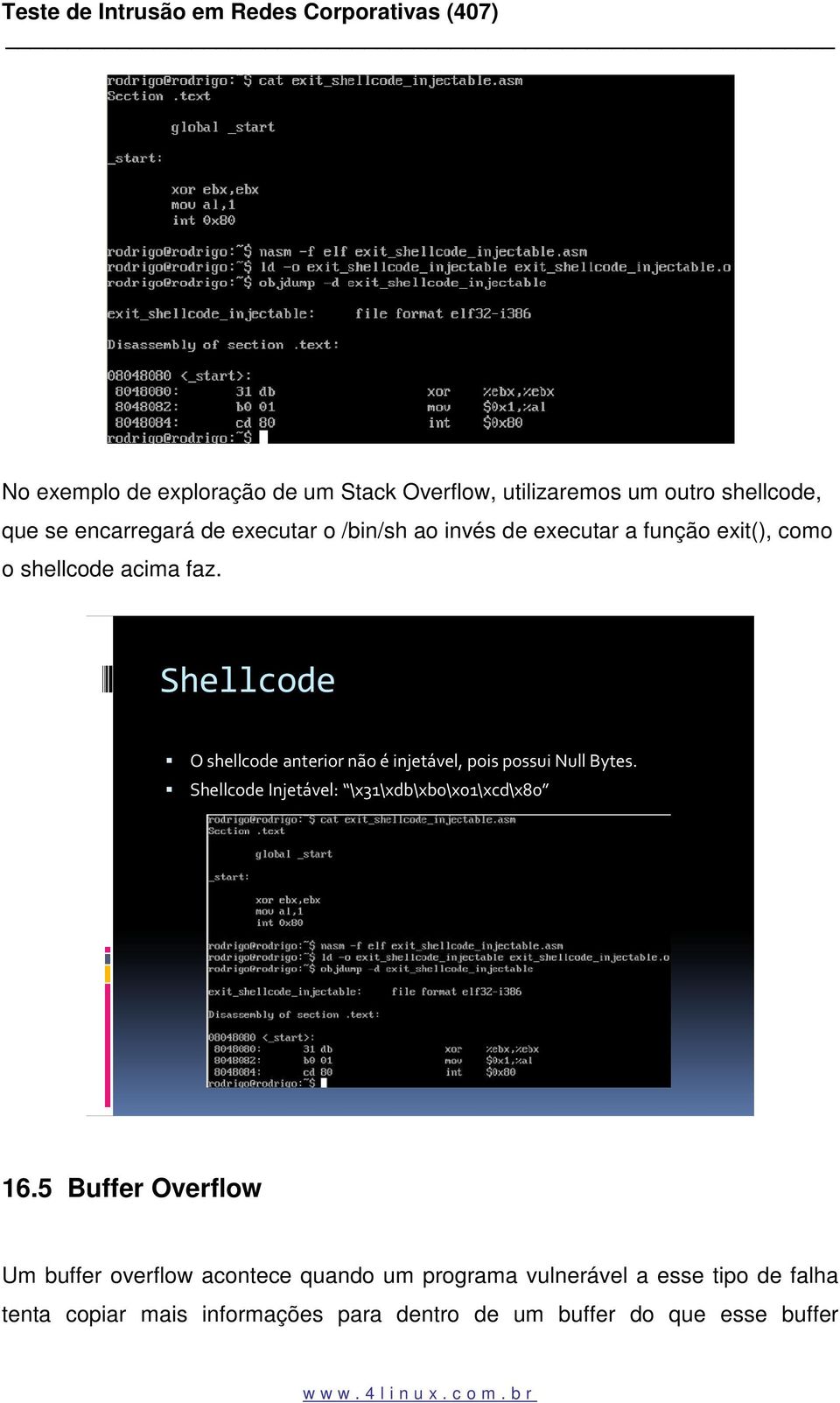 Shellcode O shellcode anterior não é injetável, pois possui Null Bytes.
