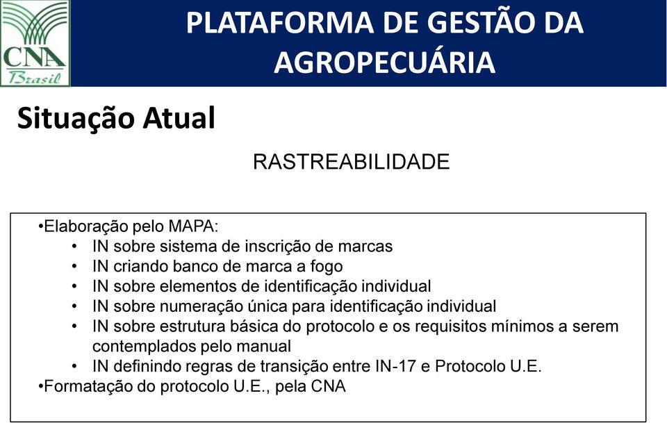 identificação individual IN sobre estrutura básica do protocolo e os requisitos mínimos a serem