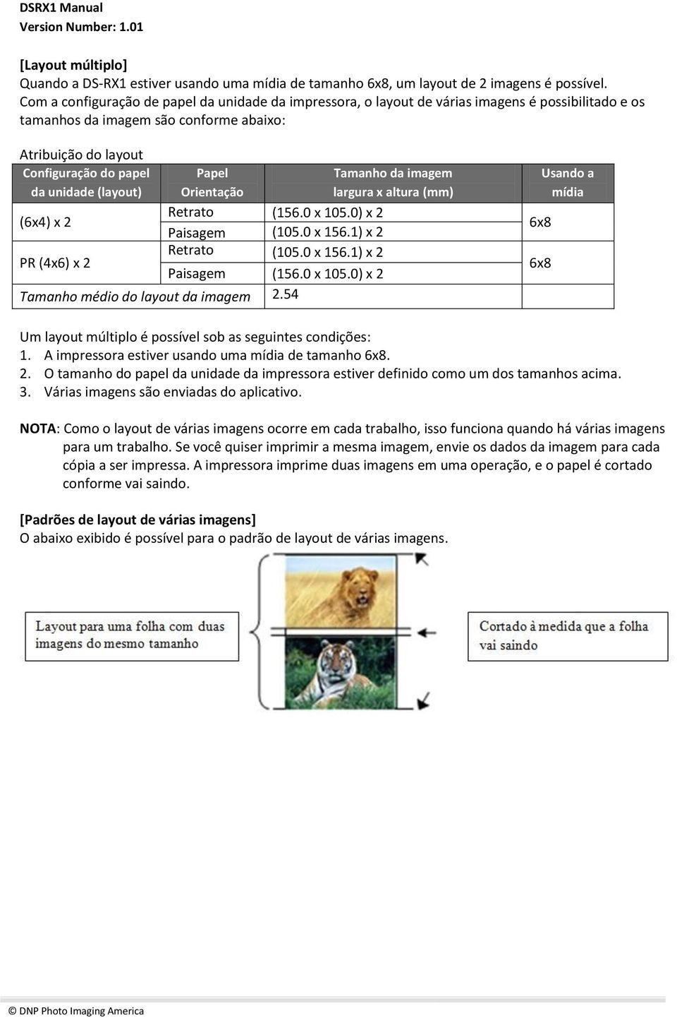 (layout) (6x4) x 2 Papel Orientação Tamanho da imagem largura x altura (mm) Retrato (156.0 x 105.0) x 2 Paisagem (105.0 x 156.1) x 2 Retrato (105.0 x 156.1) x 2 PR (4x6) x 2 Paisagem (156.0 x 105.0) x 2 Tamanho médio do layout da imagem 2.