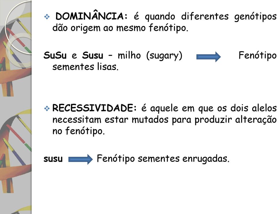 Fenótipo RECESSIVIDADE: é aquele em que os dois alelos necessitam