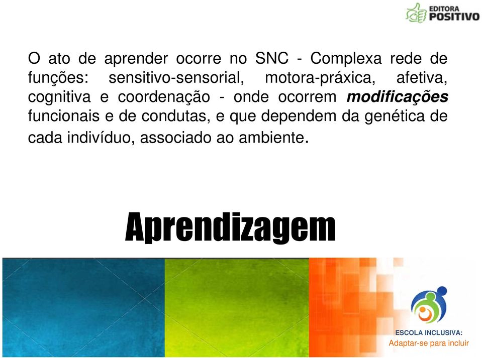 coordenação - onde ocorrem modificações funcionais e de condutas,