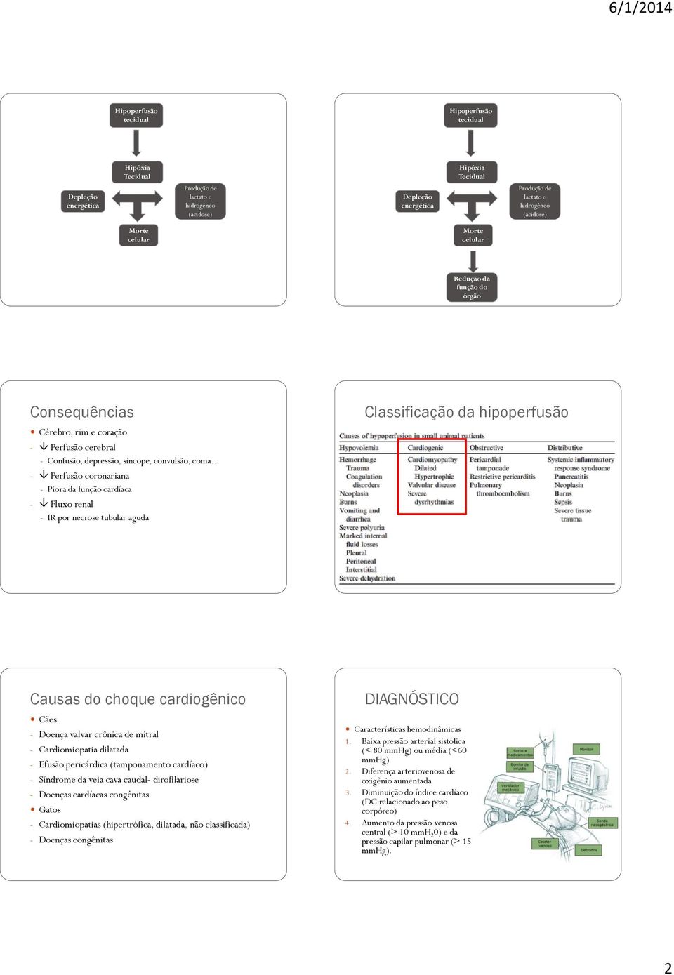 .. - Perfusão coronariana - Piora da função cardíaca - Fluxo renal - IR por necrose tubular aguda Classificação da hipoperfusão Causas do choque cardiogênico Cães - Doença valvar crônica de mitral -