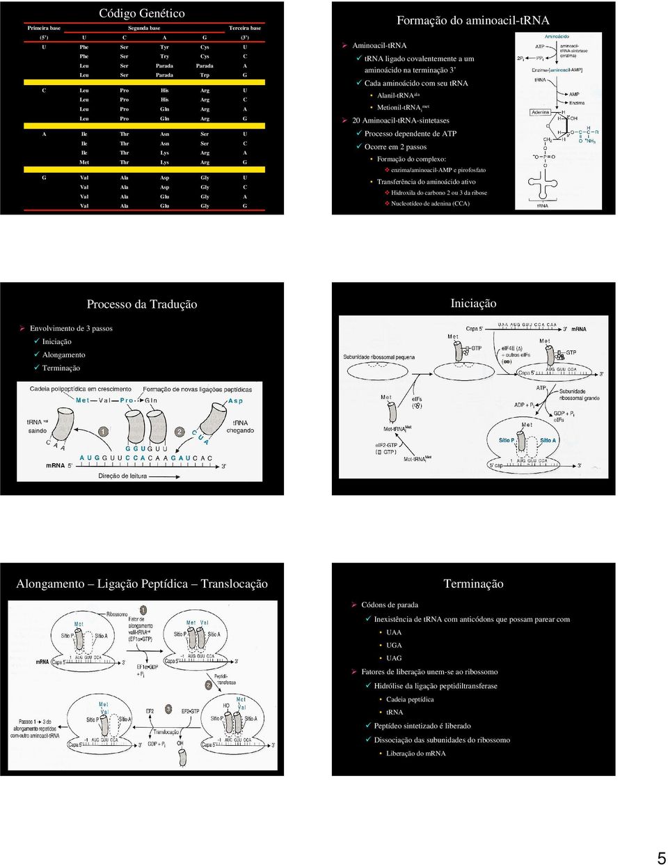 la sn sn Lys Lys sp sp lu lu rg rg ly ly ly ly Processo dependente de TP Ocorre em 2 passos Formação do complexo: enzima/aminoacil-mp e pirofosfato Transferência do aminoácido ativo Hidroxila do