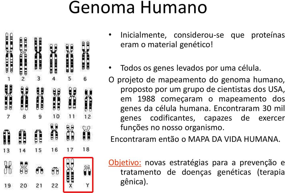 genes da célula humana. Encontraram 30 mil genes codificantes, capazes de exercer funções no nosso organismo.