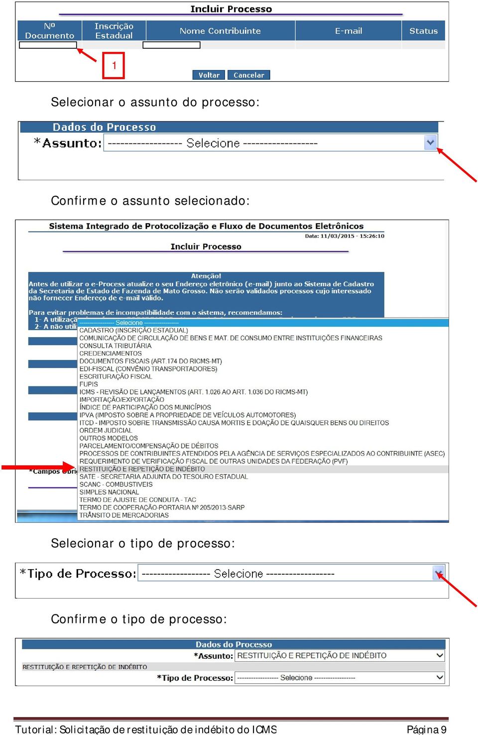 processo: Confirme o tipo de processo: Tutorial: