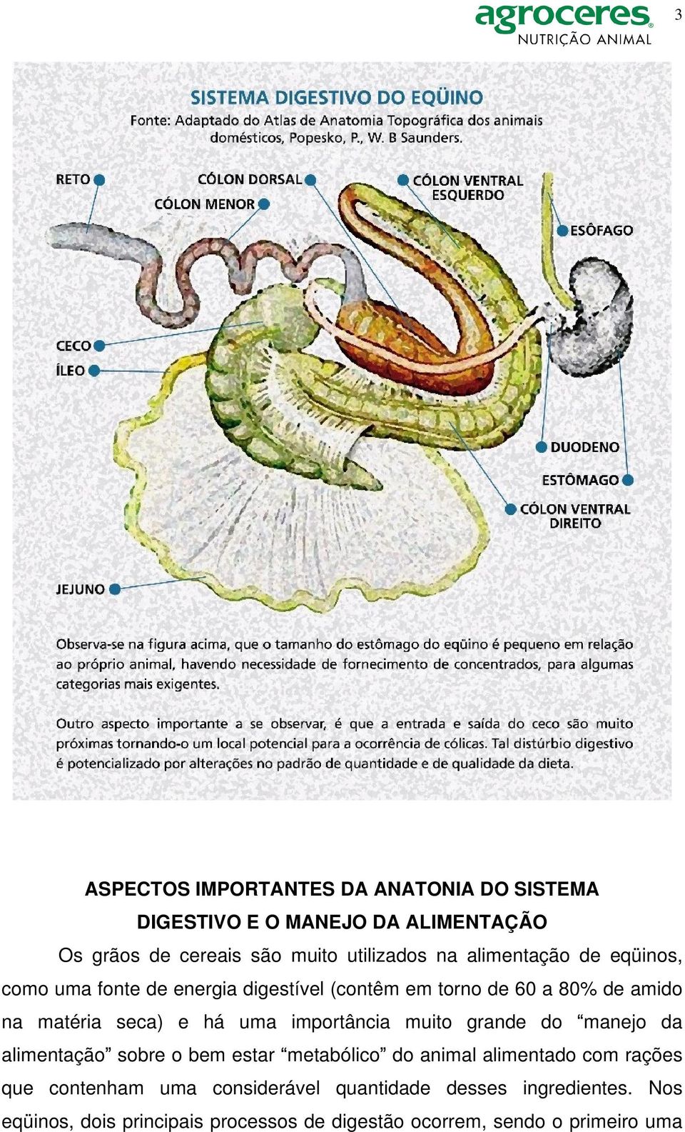 importância muito grande do manejo da alimentação sobre o bem estar metabólico do animal alimentado com rações que contenham