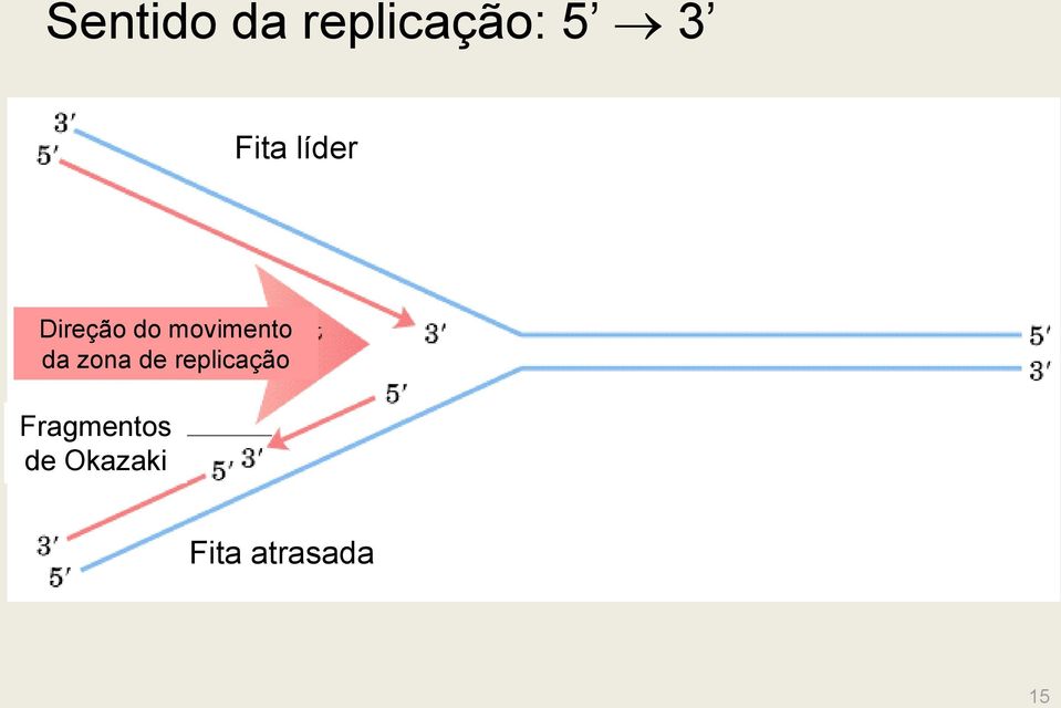 movimento da zona de