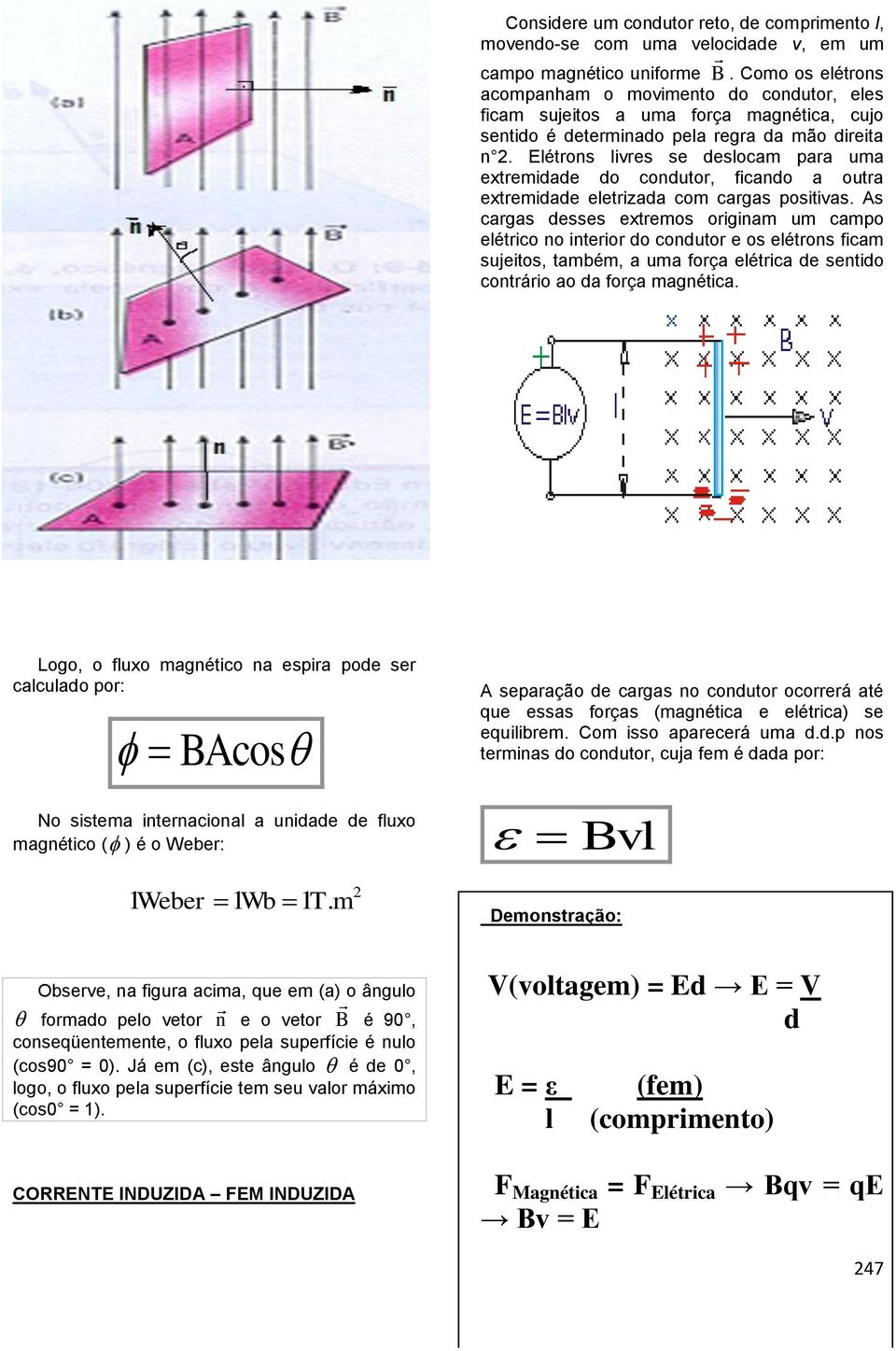 Elétrons livres se deslocam para uma extremidade do condutor, ficando a outra extremidade eletrizada com cargas positivas.