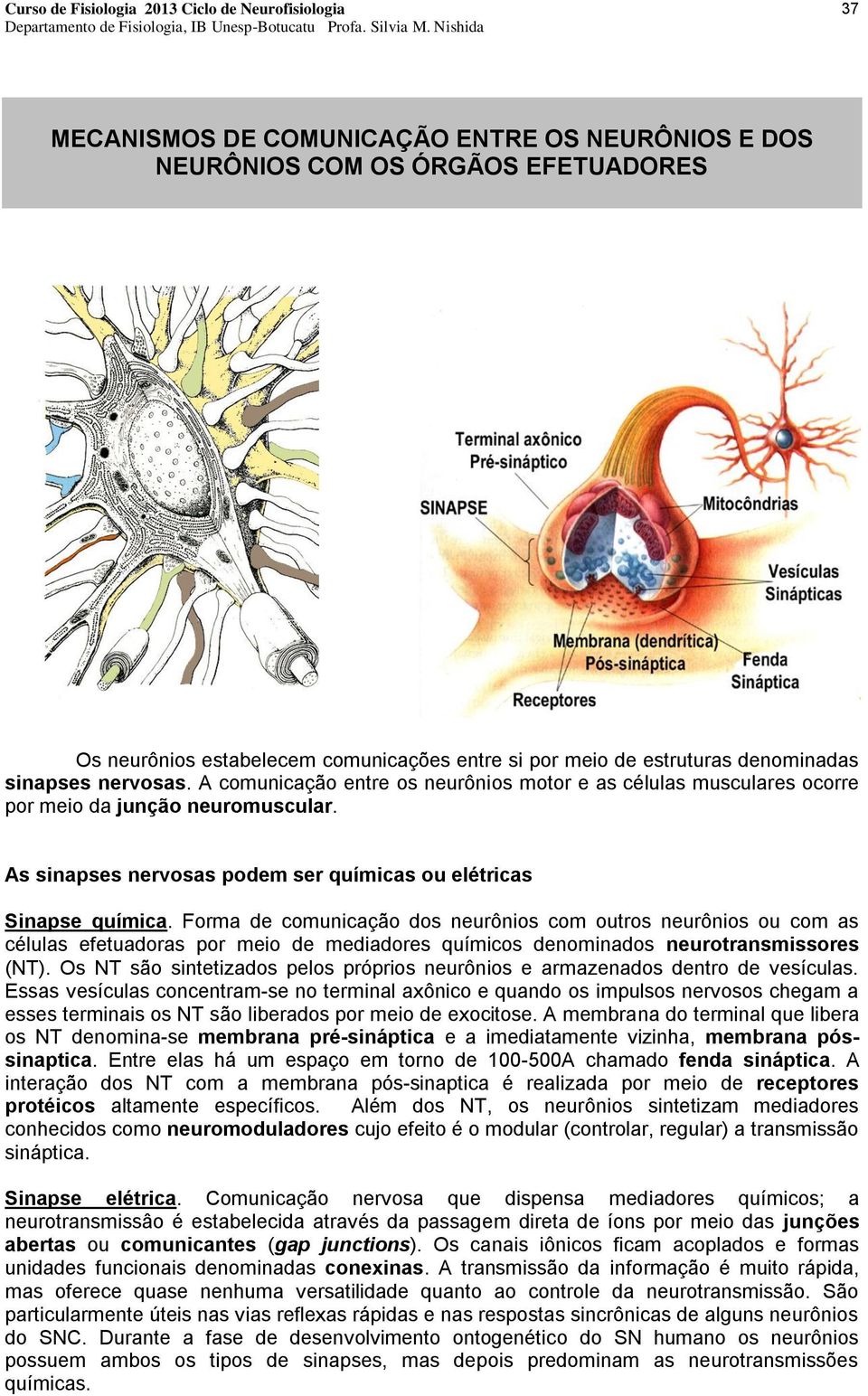 Forma de comunicação dos neurônios com outros neurônios ou com as células efetuadoras por meio de mediadores químicos denominados neurotransmissores (NT).