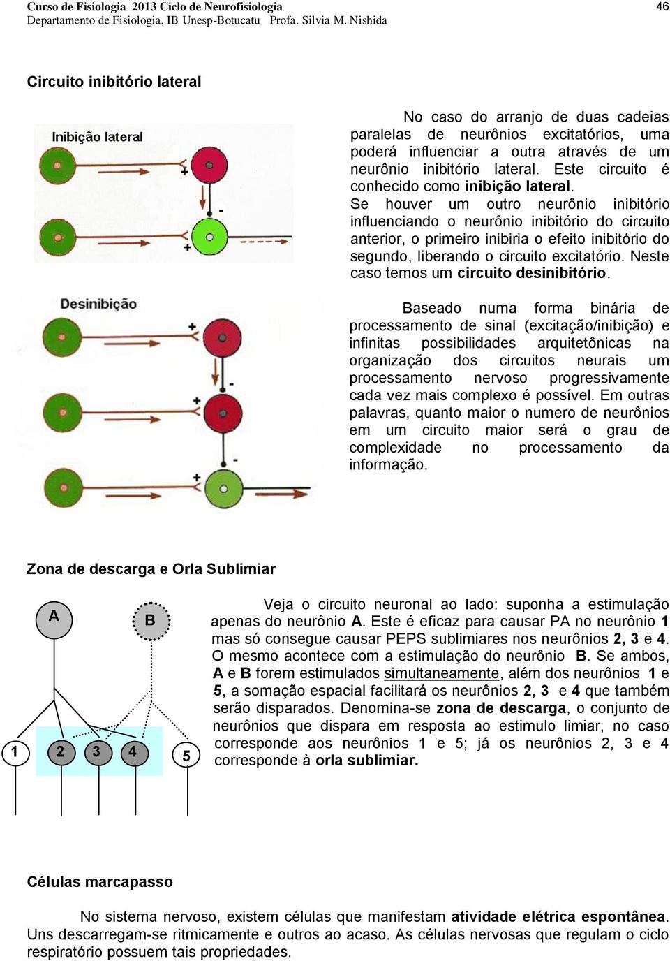 Se houver um outro neurônio inibitório influenciando o neurônio inibitório do circuito anterior, o primeiro inibiria o efeito inibitório do segundo, liberando o circuito excitatório.