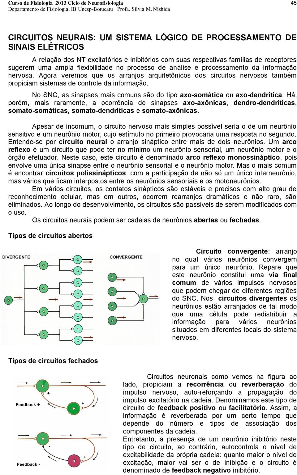 No SNC, as sinapses mais comuns são do tipo axo-somática ou axo-dendrítica.