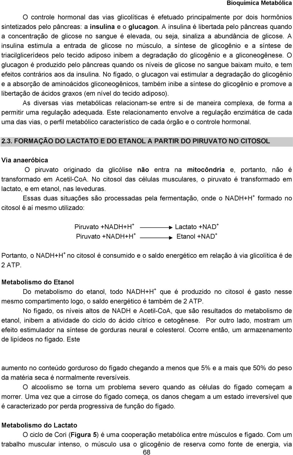 A insulina estimula a entrada de glicose no músculo, a síntese de glicogênio e a síntese de triacilglicerídeos pelo tecido adiposo inibem a degradação do glicogênio e a gliconeogênese.