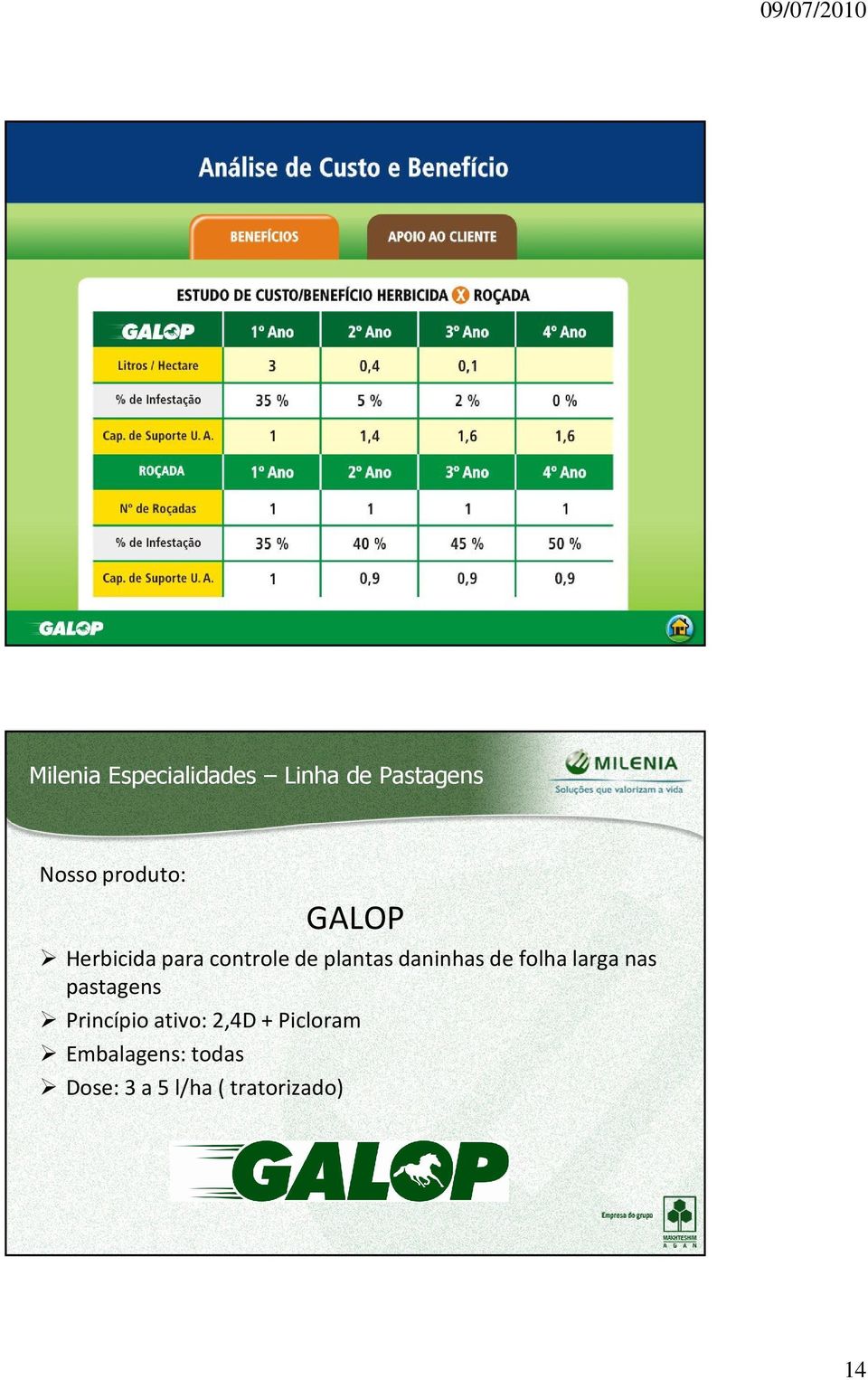 daninhas de folha larga nas pastagens Princípio ativo: