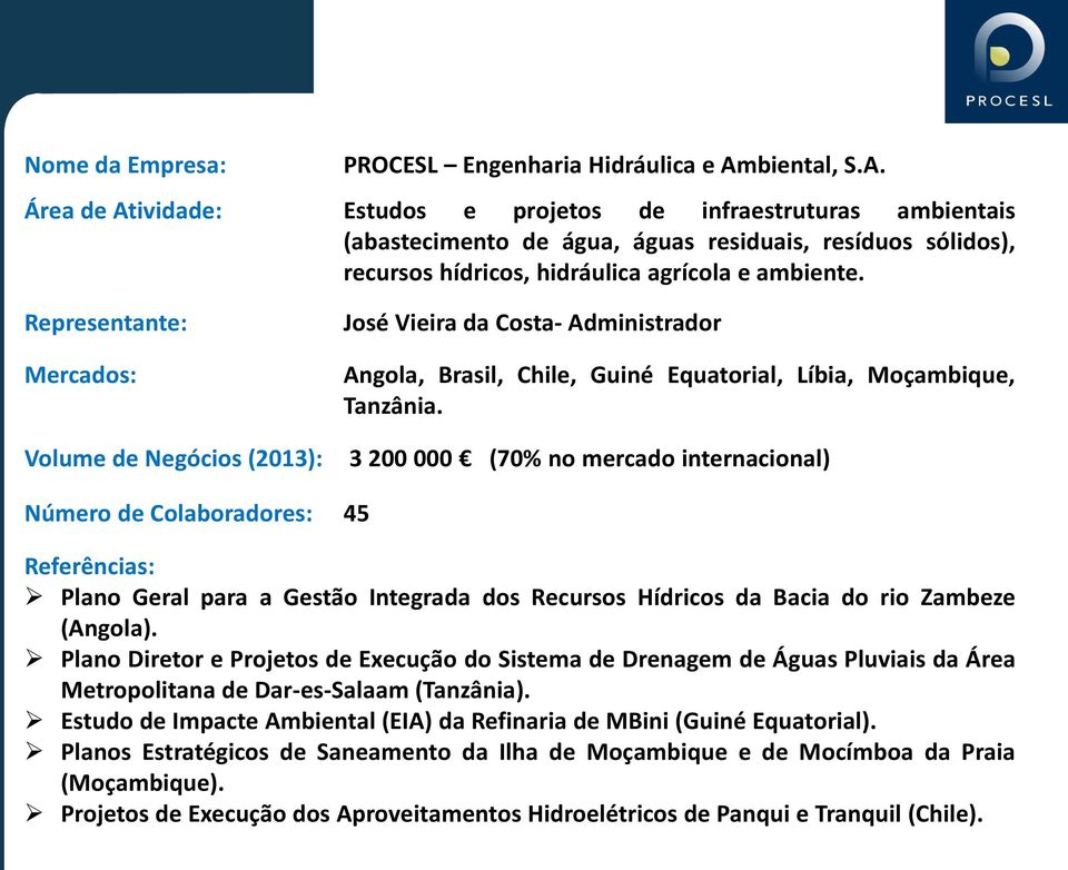Representante: Mercados: Volume de Negócios (2013): José Vieira da Costa- Administrador Angola, Brasil, Chile, Guiné Equatorial, Líbia, Moçambique, Tanzânia.