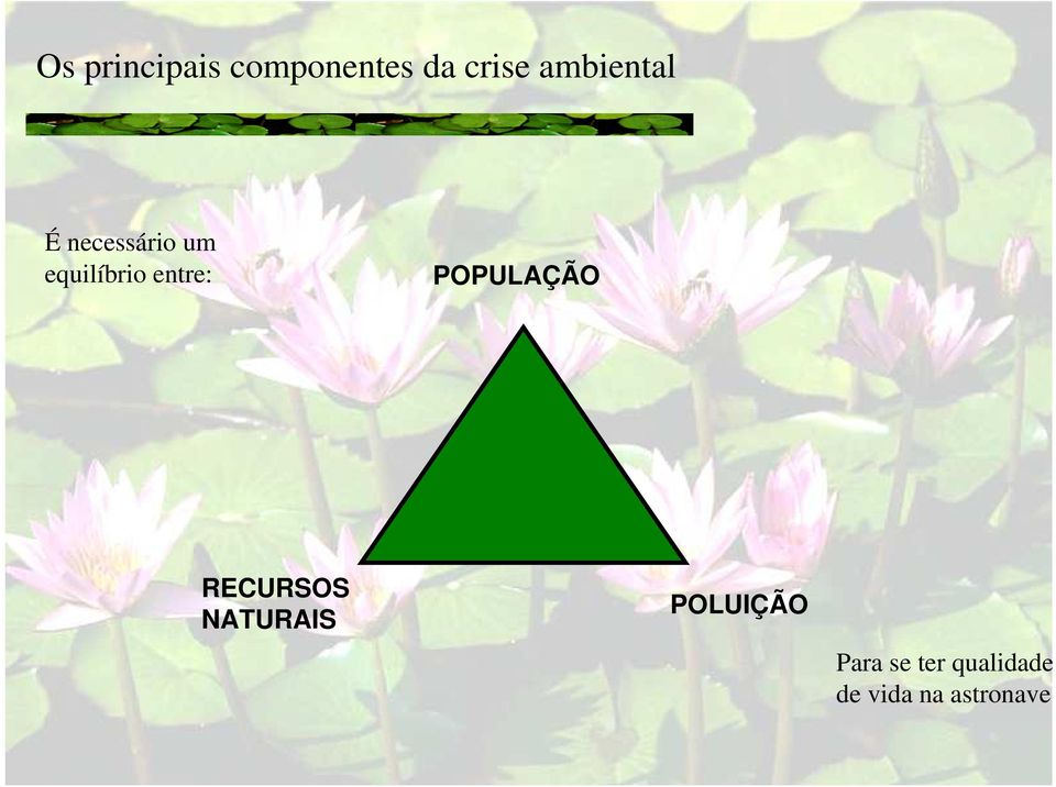 entre: POPULAÇÃO RECURSOS NATURAIS